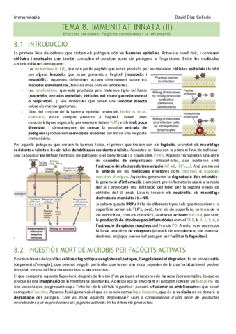 TEMA-8.pdf