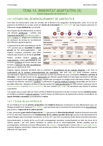 TEMA-14.pdf