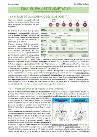 TEMA-15.pdf