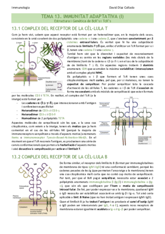 TEMA-13.pdf