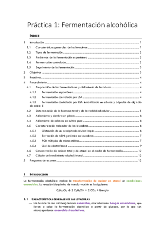 teoriafermentacion.pdf