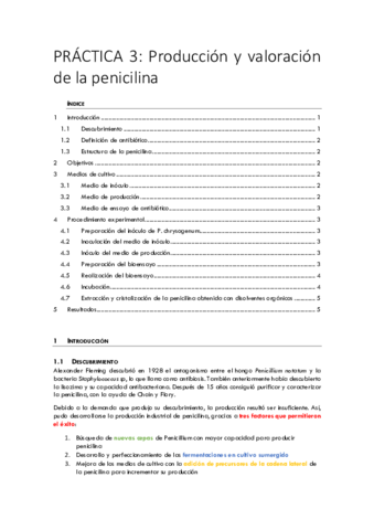teoriapenicilina.pdf