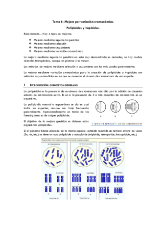 8-mejoravarcromosoma.pdf