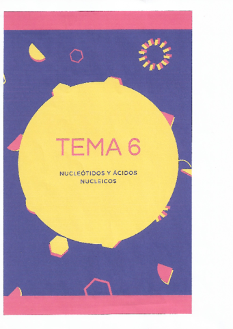 T6-Nucleotidos-y-Acidos-Nucleicos.pdf