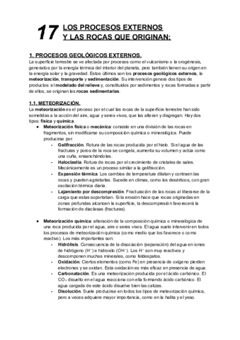 17-Los-procesos-externos-y-las-rocas-que-originan.pdf