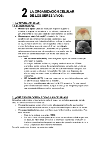2-La-organizacion-celular-de-los-seres-vivos.pdf