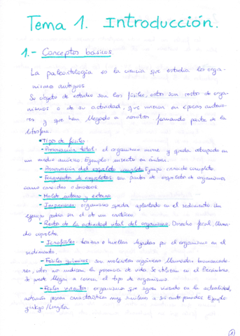 Tema 1 Paleontología.pdf