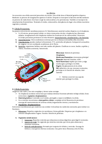 Biologia-La-celula-3-eso.pdf