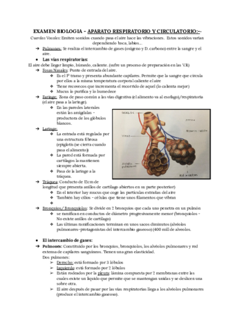 Biologia-Aparato-circulatorio-respiratorio-3-eso.pdf