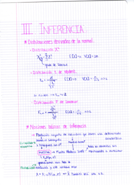 Inferencia.pdf