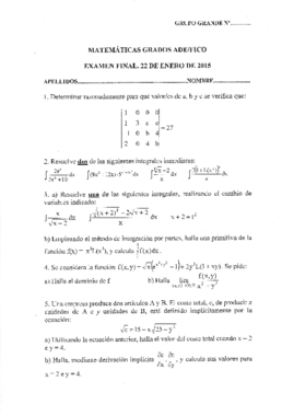 modelo blanco.pdf