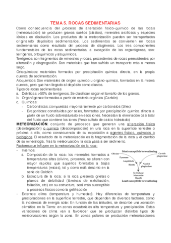 TEMA 5. ROCAS EXÓGENAS.pdf