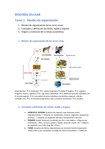 BIOLOGIA-CELULAR-TODO.pdf