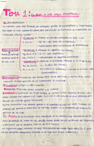 Agua-y-sales-minerales.pdf