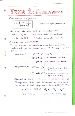 Apuntes-Quimica-I.pdf