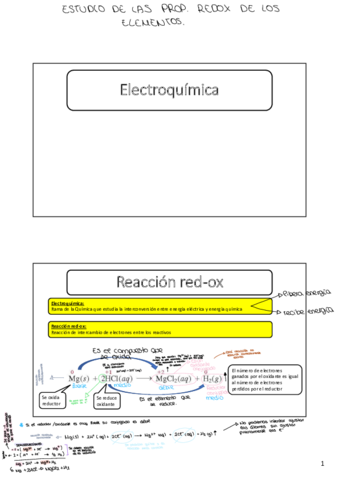 Tema-1-ReaccionesRedo2TransPorPagina.pdf