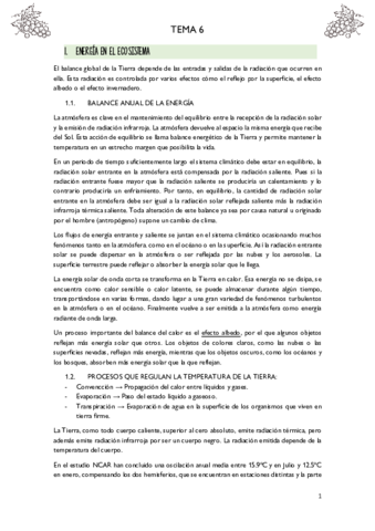 T6-ECO.pdf