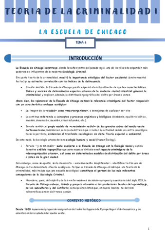 TEMA-6.pdf