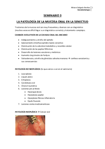 SEMINARIO-3-La-patologia-de-la-mucosa-oral-en-la-senectud.pdf