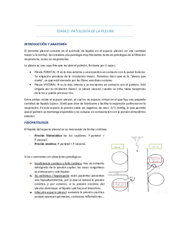 pdf-tema-2-pq1.pdf
