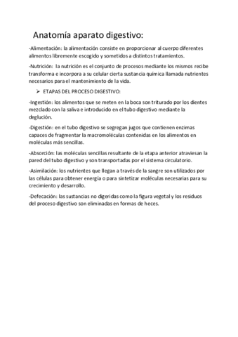 examen-anatomia.pdf