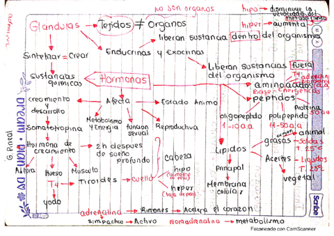 Biologia-Hormonas.pdf