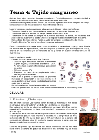 apuntes-histo-tema-4.pdf