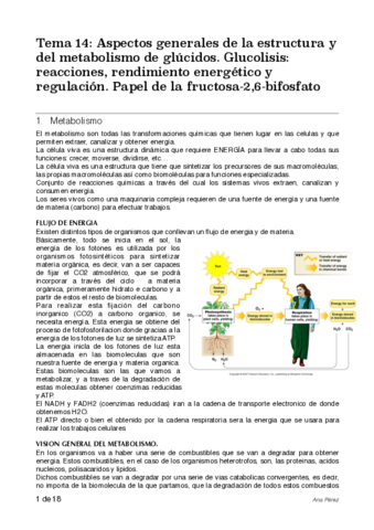 apuntes-bioqui-tema-14.pdf