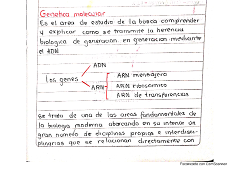 Genetica-Molecular.pdf
