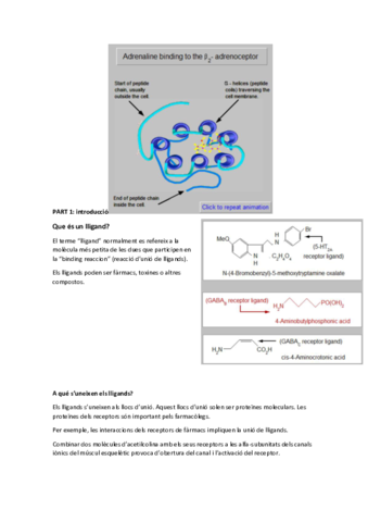 Ligand-binding-traduit.pdf