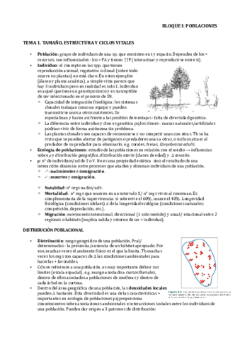 Bloque-I.pdf