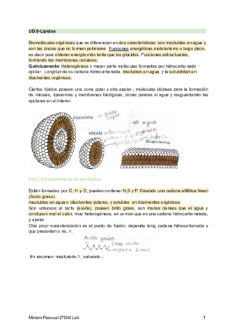 Lipidos-y-Aminoacidos-.pdf