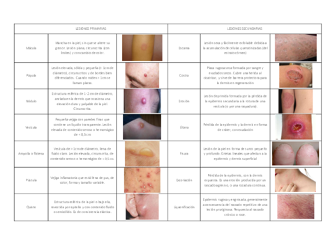 LESIONES-PRIMARIAS.pdf