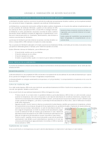UNIDAD-4-BMC.pdf