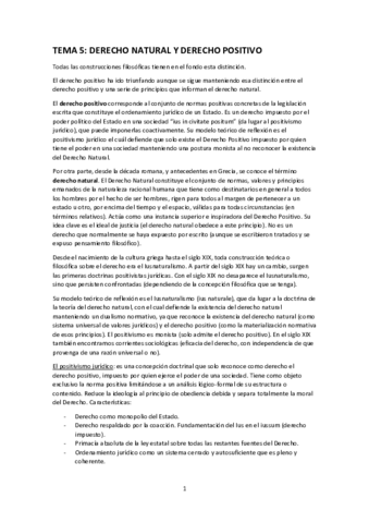 T5-TEORIA-DEL-DERECHO-EXAMEN-2.pdf