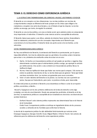 T3-TEORIA-DEL-DERECHO-EXAMEN-2.pdf