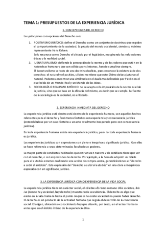 T1-TEORIA-DEL-DERECTO-EXAMEN-2.pdf