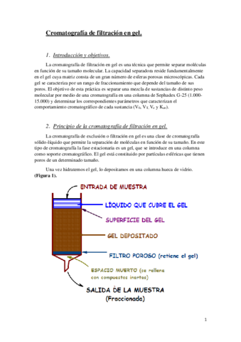 Memorias-de-practicas.pdf