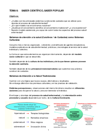 Tema-6-transculturalidad.pdf