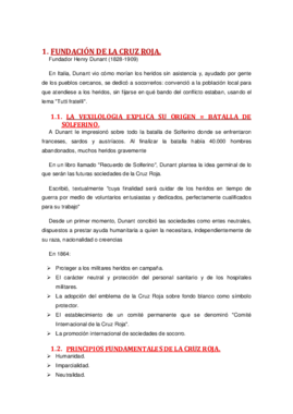 Cruz Roja.pdf