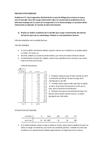 PRACTICA-STATA-BODEGAS.pdf