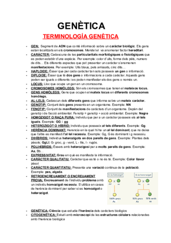 APUNTS-GENETICA.pdf