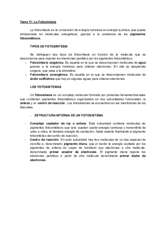 Tema-11-Fotosintesis.pdf