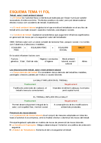 ESQUEMA-TEMA-11-FOL.pdf