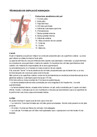 RESUM-EXAMEN-DEPILACIO-AVANCADA.pdf