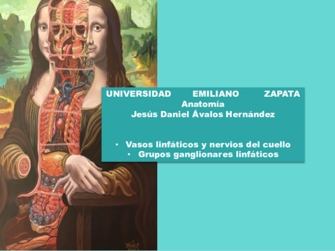 anatomia-clase.pdf