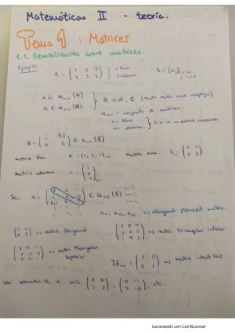 Parcial-1-Mates-II.pdf