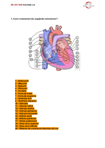 M2-UF2-TEMA-2-ACTIVIDAD-CORAZON.pdf
