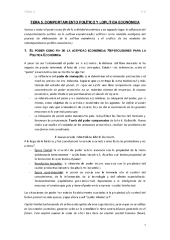 TEMA-5-P.pdf