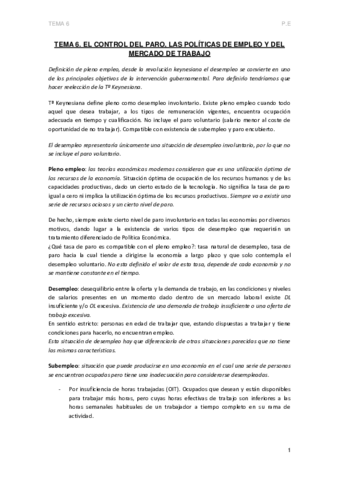 TEMA-6-P.pdf